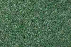 Ковролин Tapisom 900 Green - 900 419002009 00017 фото  | FLOORDEALER